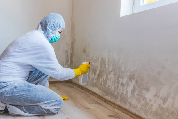 Mold Remediation specialist working in Woodward